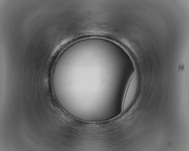 X0000091461307200708161059