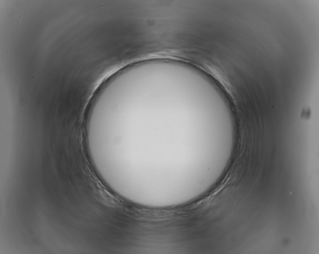 X0000091461308200708161059