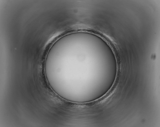 X0000091461309200708161059