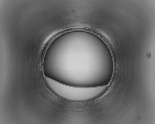 X0000091461310200708161059