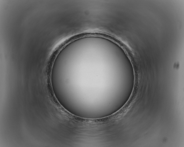 X0000091461311200708161059