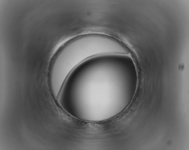X0000091461312200708161059