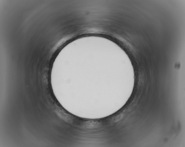 X0000091461314200708161059