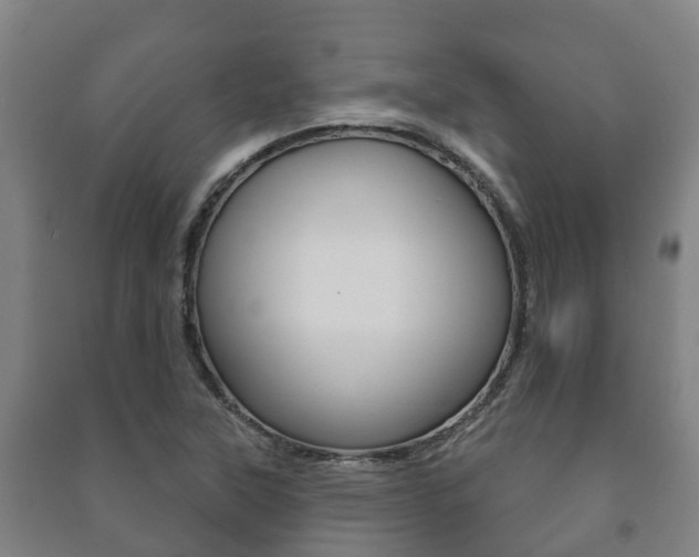 X0000091461315200708161059
