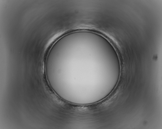 X0000091461317200708161059