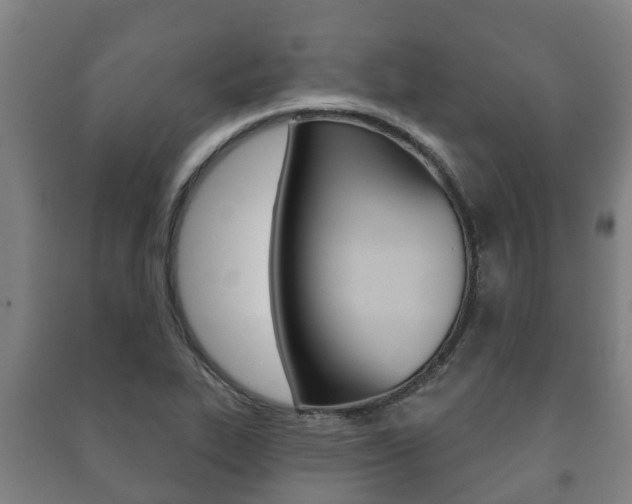 X0000091461319200708161059