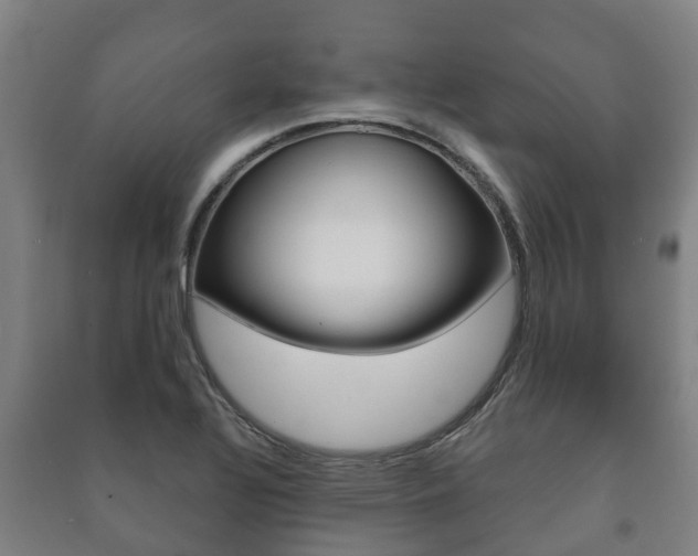 X0000091461320200708161059