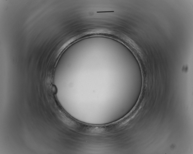 X0000091461321200708161059