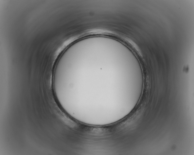 X0000091461322200708161059