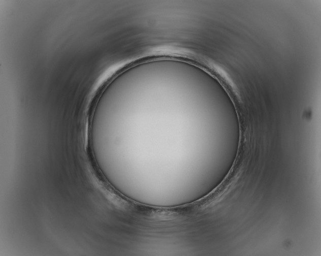 X0000091461323200708161059