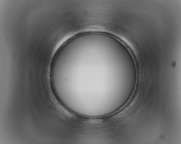 X0000091461325200708161059