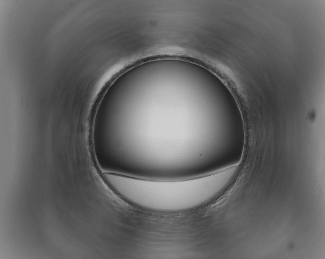 X0000091461326200708161059