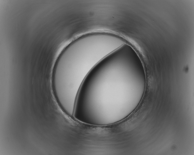 X0000091461327200708161059