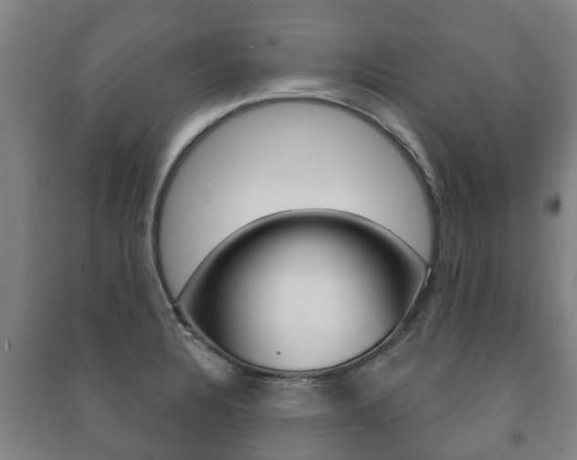 X0000091461328200708161059
