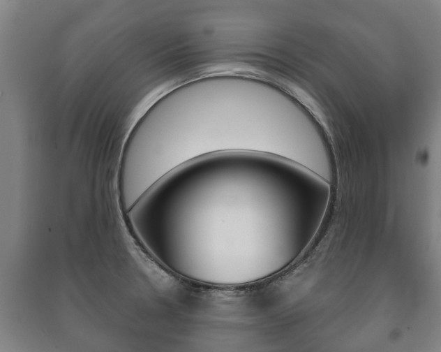 X0000091461330200708161059