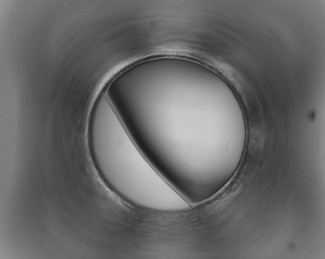 X0000091461331200708161059