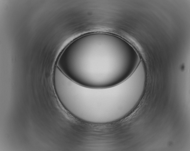 X0000091461332200708161059