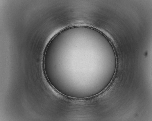 X0000091461333200708161059