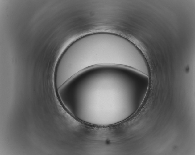 X0000091461334200708161059