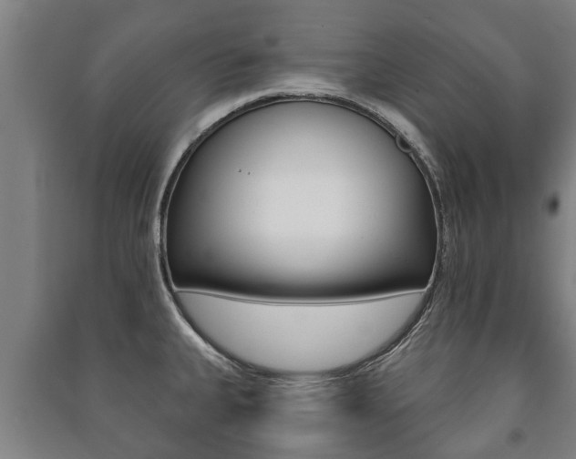 X0000091461335200708161059