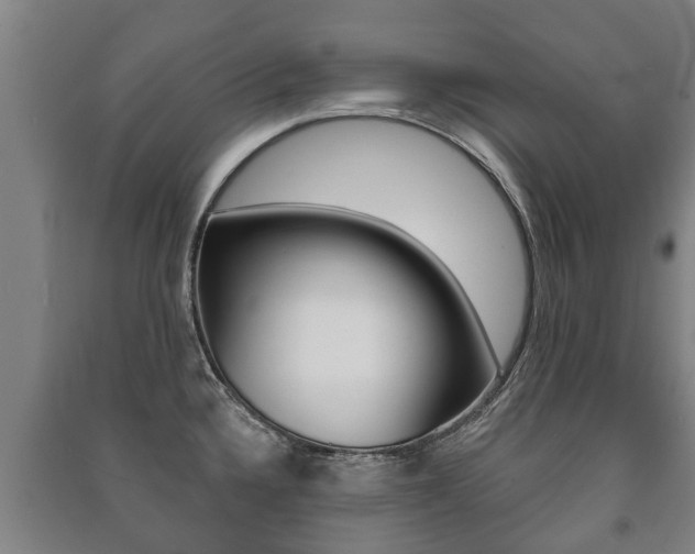 X0000091461336200708161059