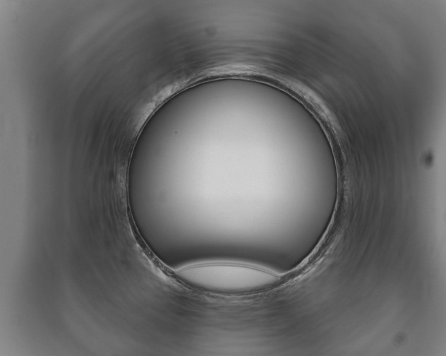 X0000091461337200708161059