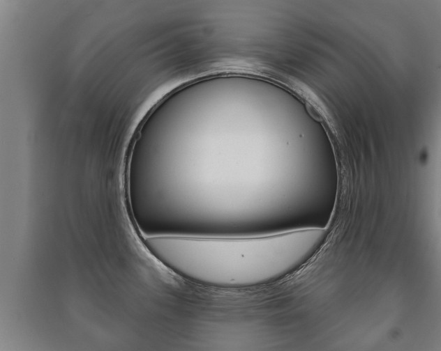 X0000091461339200708161059