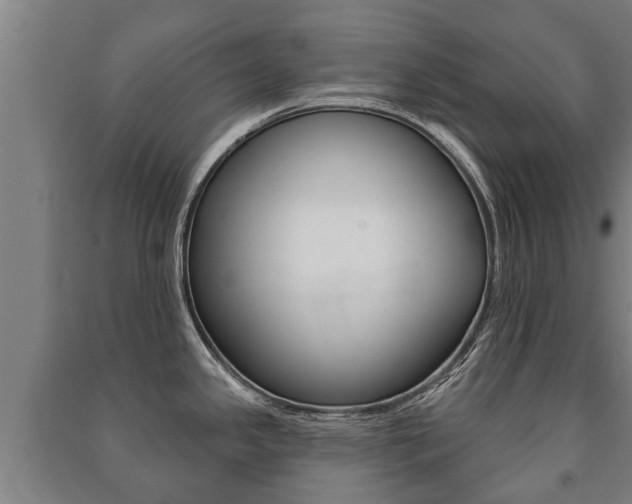 X0000091461341200708161100