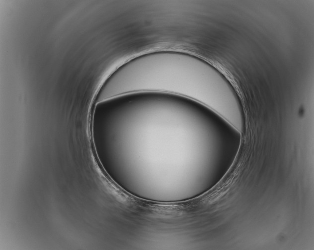 X0000091461342200708161100