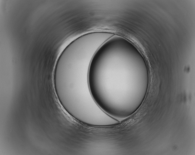 X0000091461344200708161100