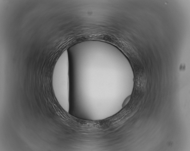 X0000091461346200708161059