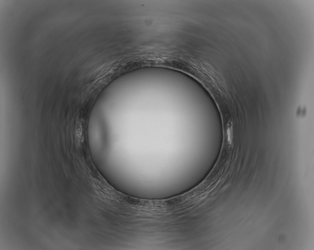 X0000091461347200708161059