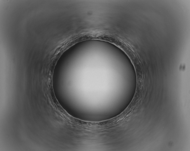 X0000091461349200708161059