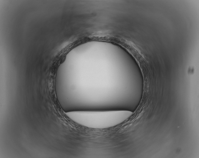 X0000091461350200708161059