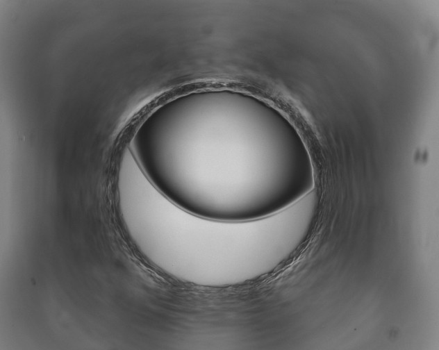 X0000091461352200708161059