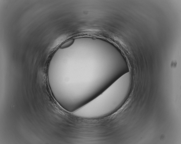X0000091461354200708161059