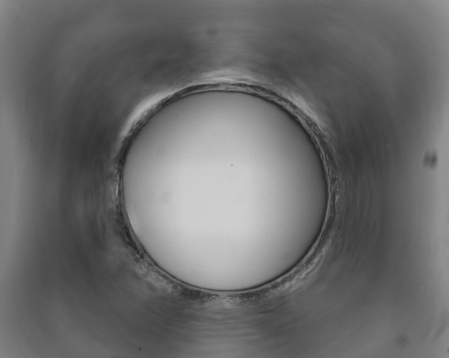 X0000091461358200708161059