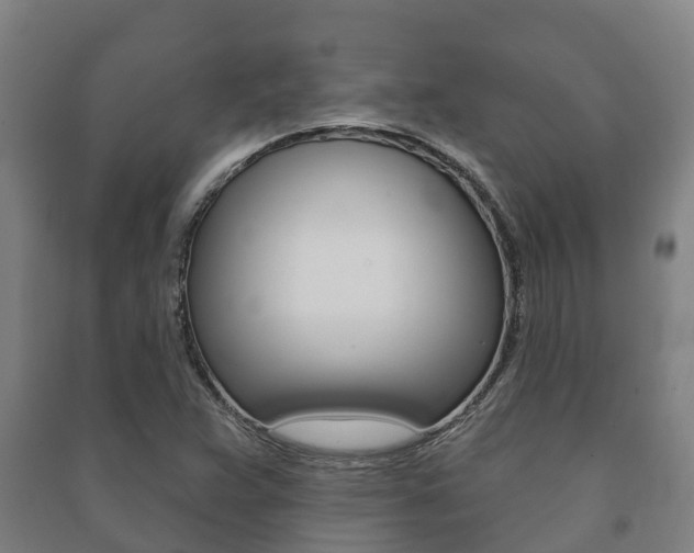 X0000091461359200708161059