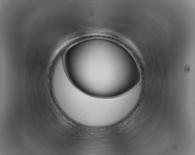 X0000091461360200708161059