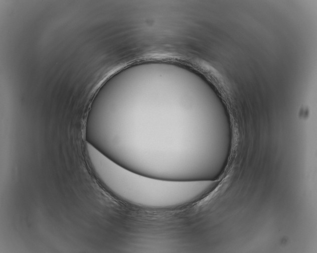 X0000091461361200708161059