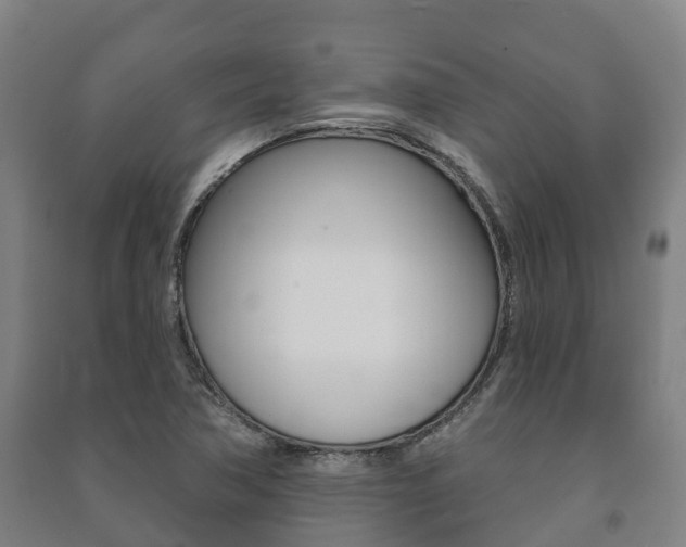 X0000091461362200708161059