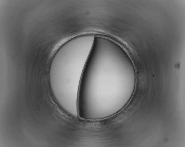 X0000091461363200708161059