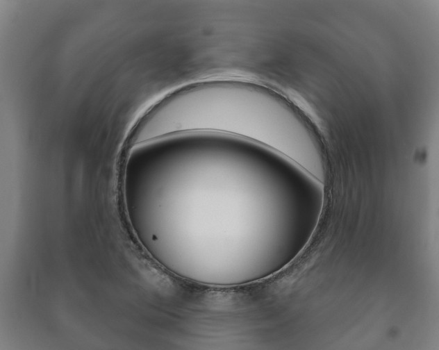 X0000091461364200708161059