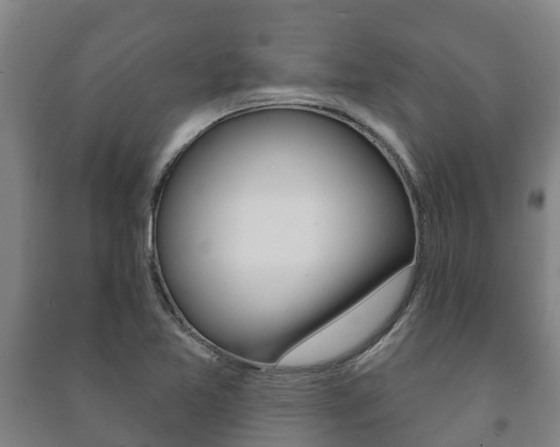 X0000091461365200708161059