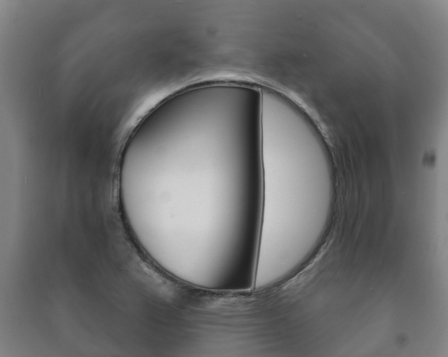 X0000091461367200708161059