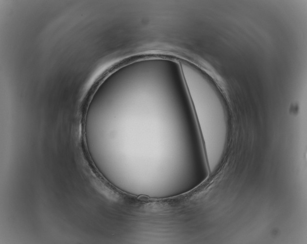 X0000091461368200708161059