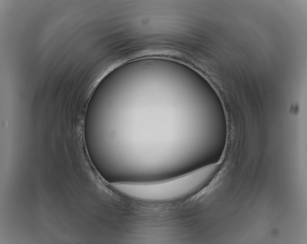 X0000091461369200708161058
