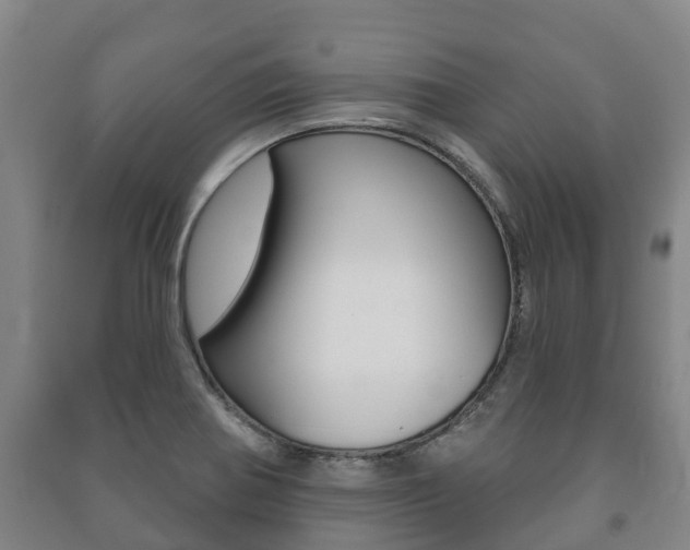 X0000091461370200708161058