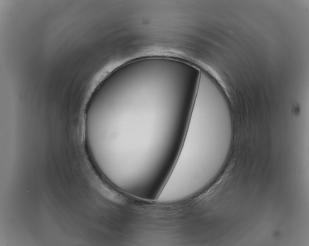 X0000091461371200708161058