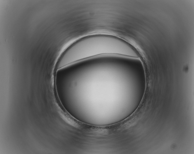 X0000091461372200708161058